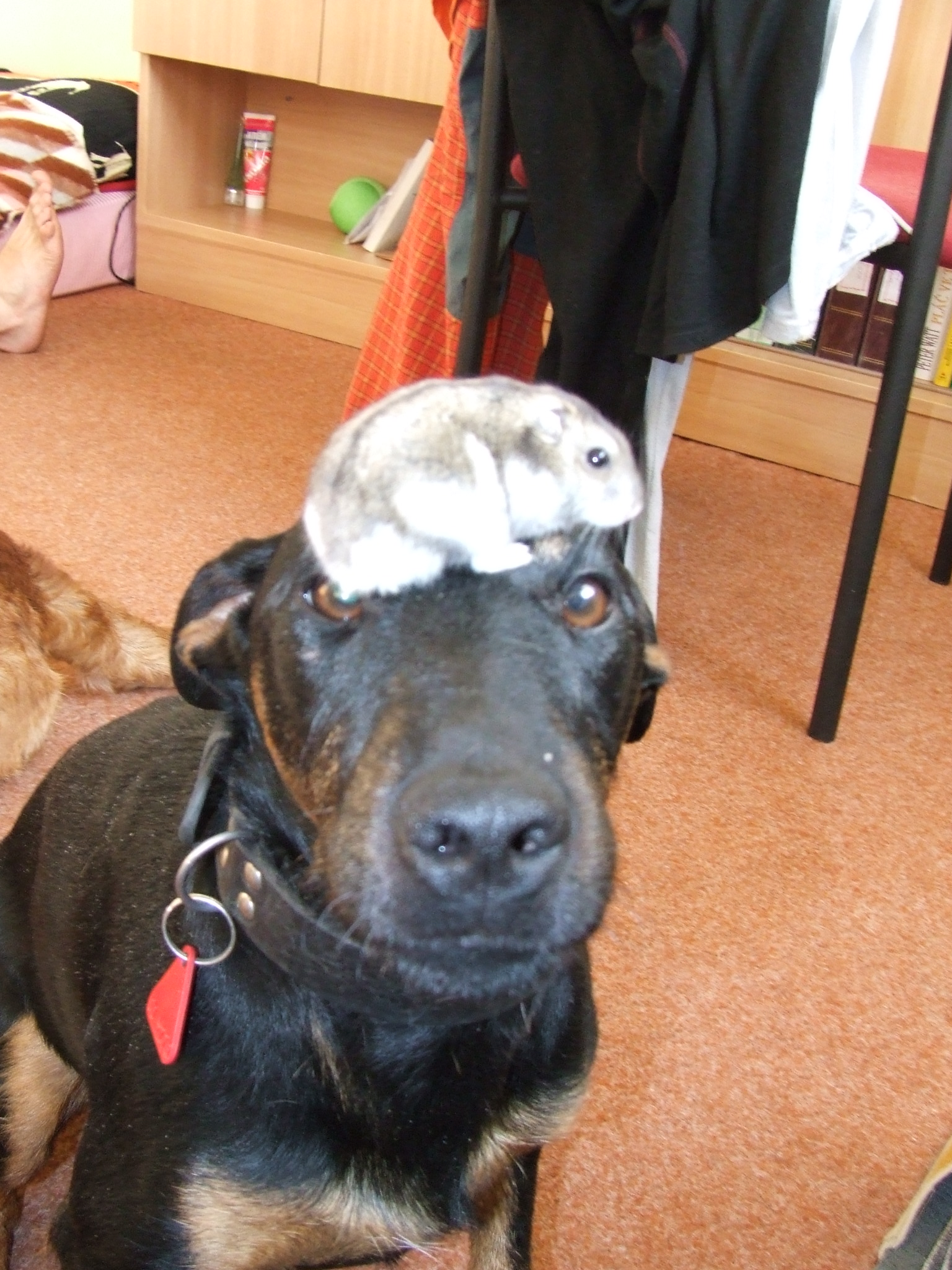 DSCF6910.JPG
