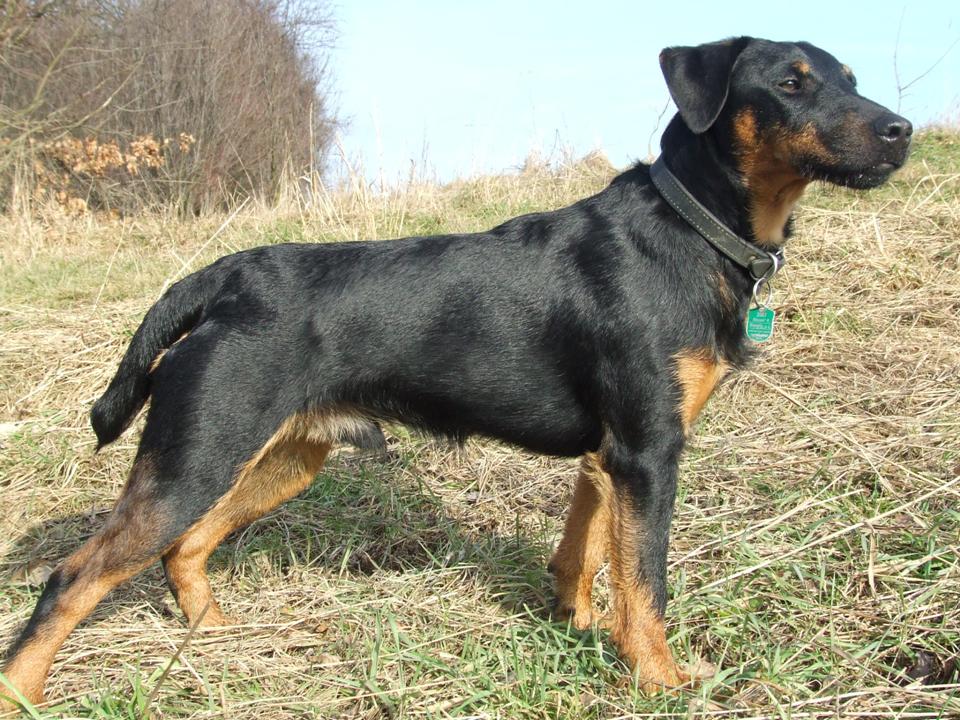 postoj.jpg